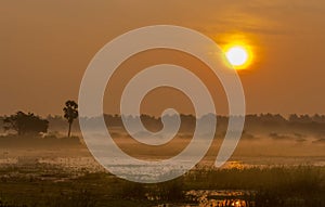 Sunrise in the Mist marshland landscape. Colored sunrise with water reflections and fog. golden light background