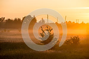 Sunrise in misty country meadow