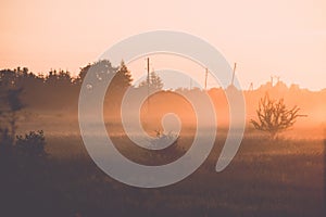 sunrise in misty country meadow - retro vintage look