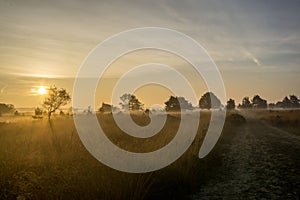 Sunrise moorland photo