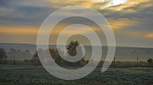 Sunrise and morning fog in autumn over a field