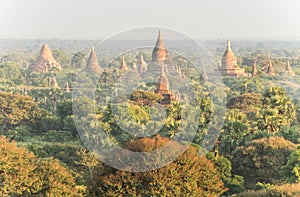 Morning myst at bagan field in myanmar with pagodas photo