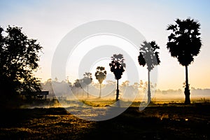 Sunrise morning times of Thailand countryside