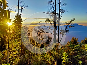 sunrise on mount arjuno