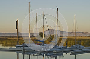 Sunrise Mount Diablo photo