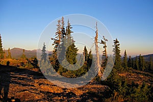 Strathcona Provincial Park Sunrise on Mount Drabble on the Forbidden Plateau, Vancouver Island, British Columbia