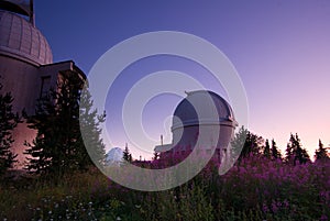 Sunrise at a mountain observatory in front of beautiful purple, pink flowers