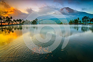 Sunrise with Mountain Sindoro reflection of Embung Kledung, Temanggung Indonesia