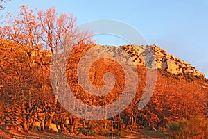 Sunrise in the mountains at Gourdon, France