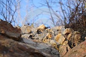 Sunrise in mountines, detail on rocks photo