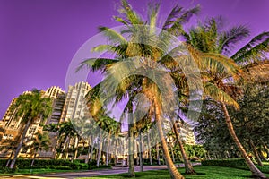 Sunrise at Naples, Florida photo