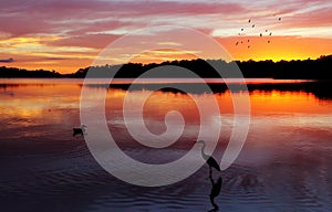 Sunrise Narrabeen Lakes