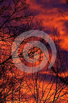 Sunrise Nature Abstract Background