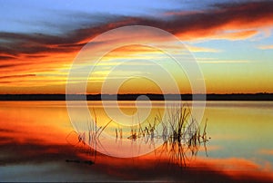 Sunrise in Newnan\'s Lake in Gainesville, Florida photo