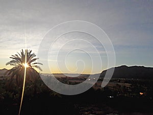 Sunrise in the oasis of Figuig photo