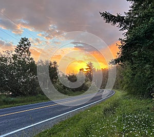 Sunrise on an open road in a Pacific Northwest forest