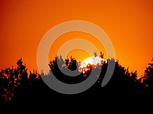 Sunrise with orange sky photo
