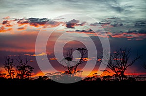 Sunrise in the Outback