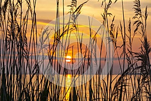 Sunrise over the Balaton lake, Hungaru