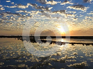 Sunrise Over the Bay with South Padre Island Skyline in the Background, Texas