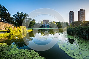 Sunrise over buildings and the Harlem Meer, in Manhattan, New Yo