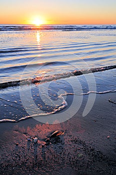 Sunrise over calm ocean