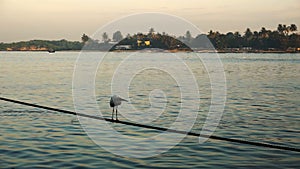 Sunrise over chinese fishing nets and boat in Cochin, India