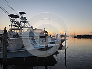 Sunrise over Dinner Key Marina, Miami.