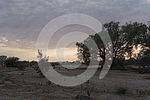 Sunrise over the dry swakop river in Namibia