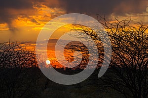 Sunrise over the Etosha National Park in Namibia