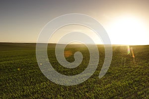 Sunrise over the field