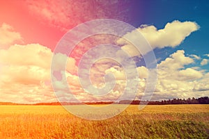 Sunrise over the field