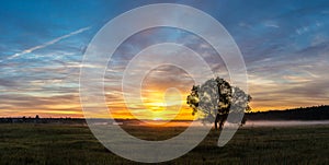 Sunrise over field and tree