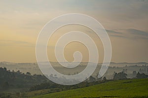 Sunrise over foggy Ugandan tea fields in Kibale, Uganda in Africa