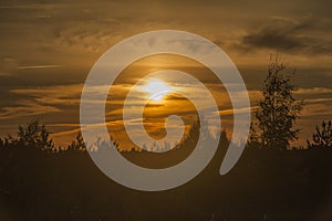 Sunrise over the forest