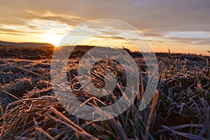 Sunrise over frozen meadow