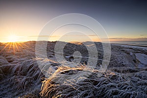 sunrise over frozen snowy dunes at sea shore