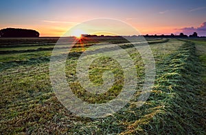 Sunrise over green haymaking