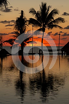 Sunrise over the Gulf of Mexico reflected into the infinity pool at the resort