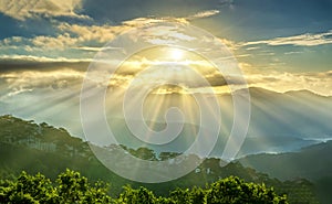 Sunrise over hillside a pine forest with long sun rays pass through valley