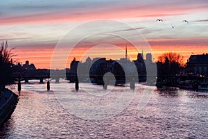 Sunrise over ile de la Cite in winter - Paris