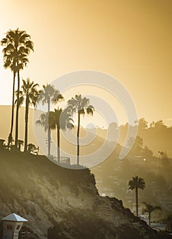 Laguna Beach Cliffs Sunrise