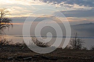 Sunrise over lake with migrating snow geese