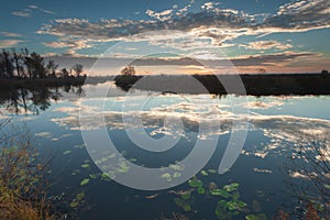 Sunrise over the lake with reflection of bare trees in the water.