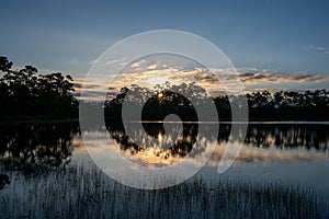 Sunrise over Long Pine Key in Everglades National Park, Florida.