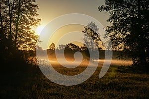 Sunrise over the meadow in the morning on a foggy day