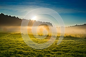 Sunrise over the misty field