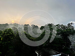 Sunrise over misty forest