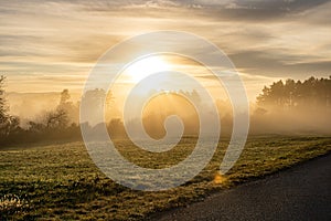 sunrise over misty forest