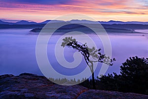 Sunrise Over Misty Landscape. Scenic View Of Foggy Morning Sky With Rising Sun Above Misty Forest. Middle Summer Nature Of Europe.